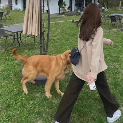 爸妈被我绑架了